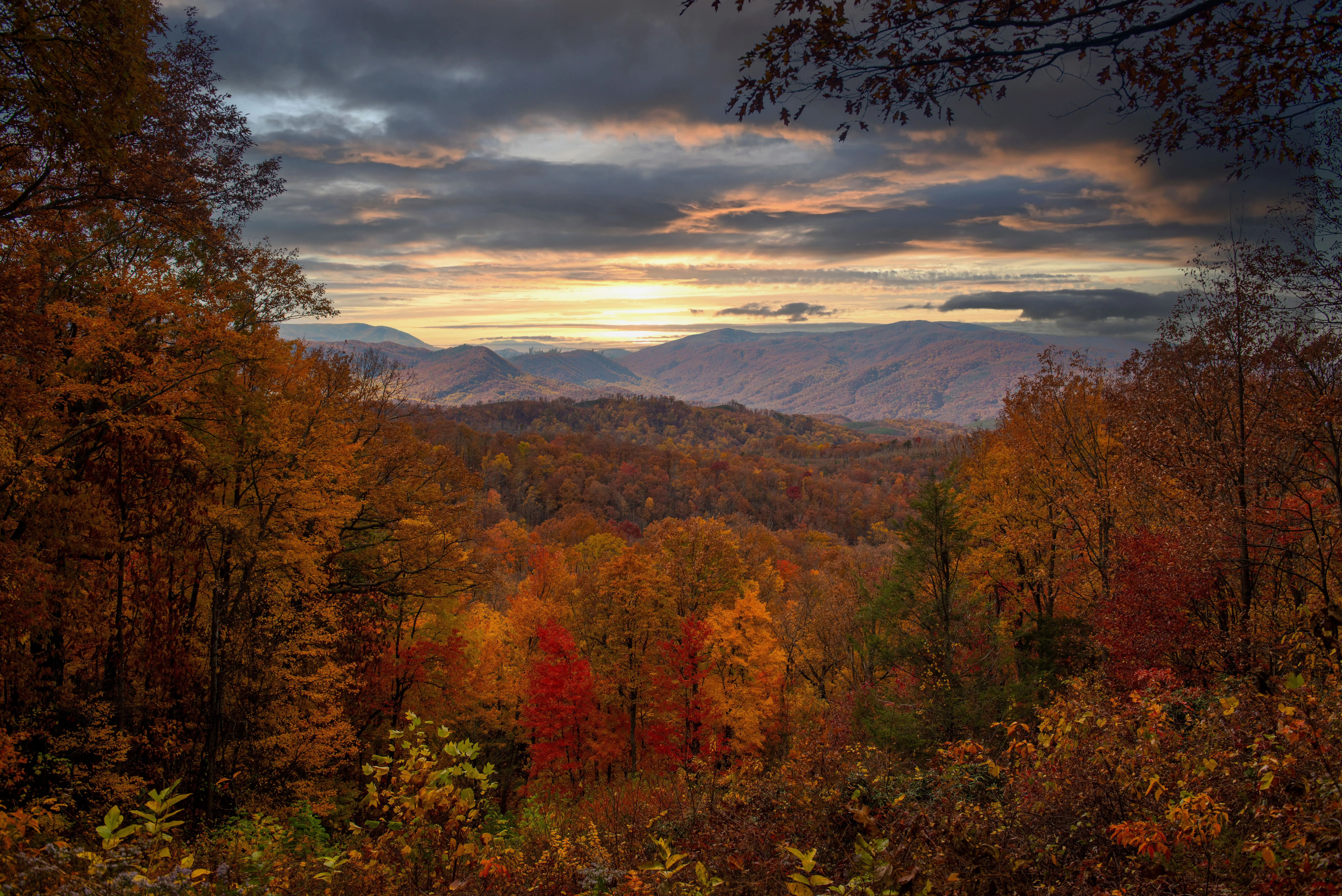 Gatlinburg, TN