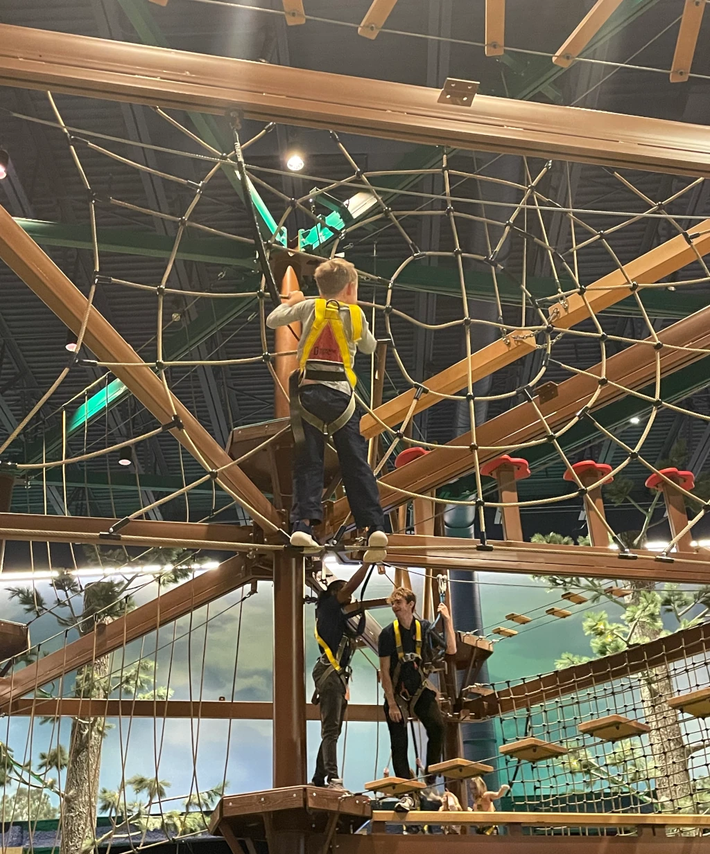 A boy on a ropes course