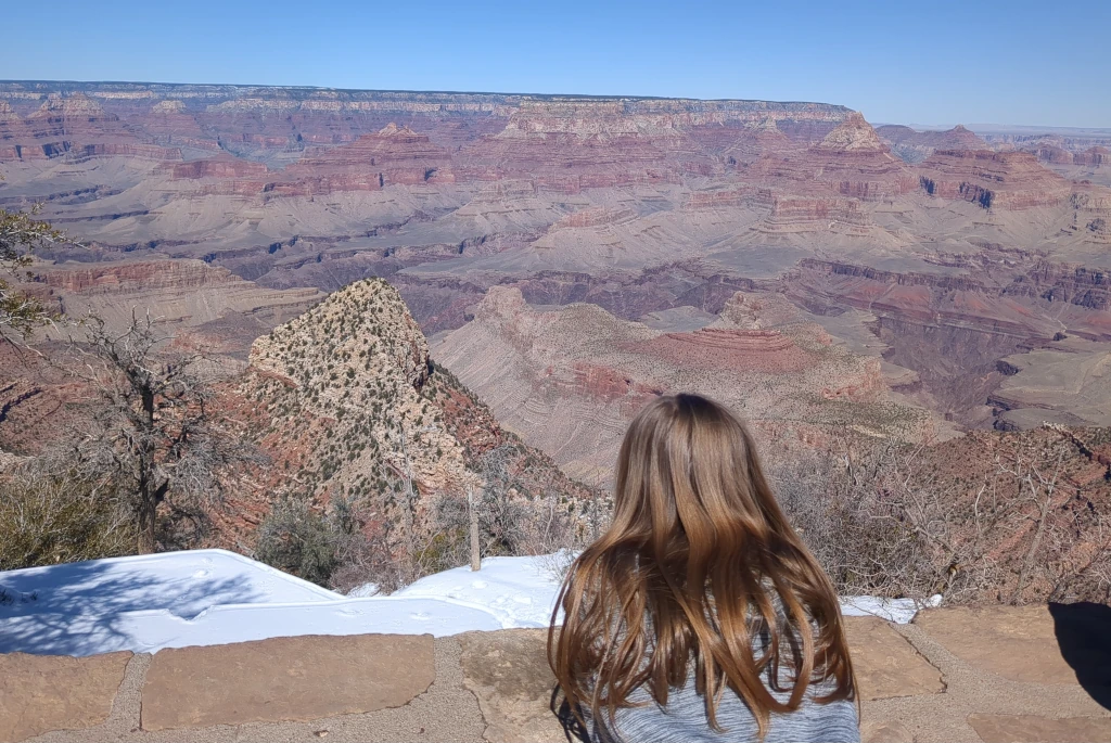 A girl looking at the Grand Canyon