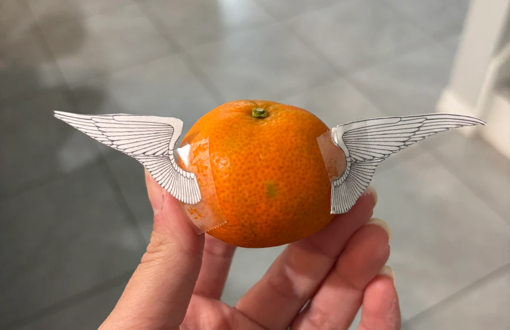 Oranges with wings taped on