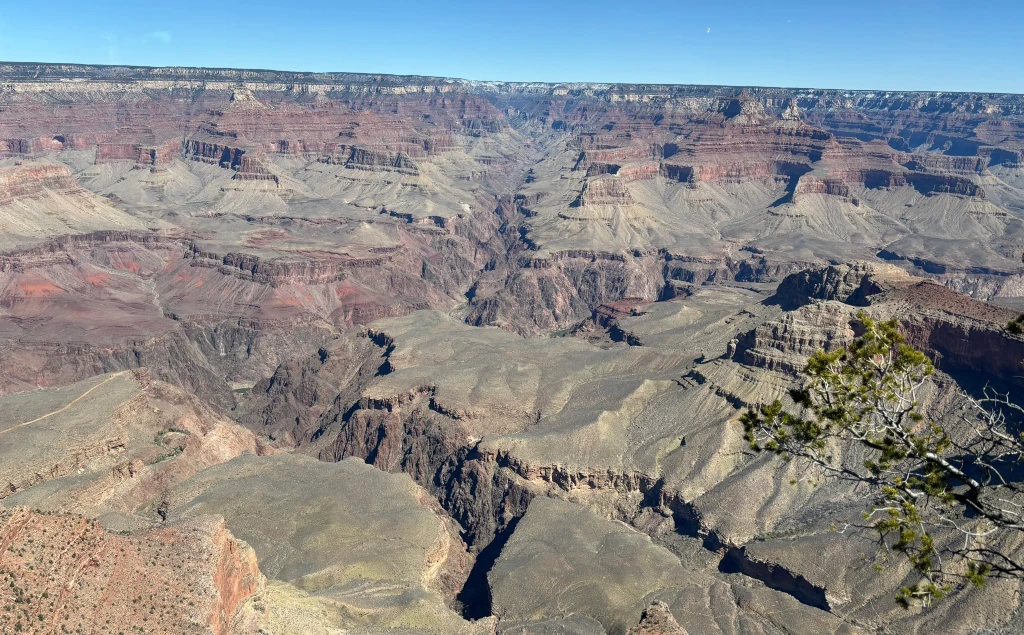 A view of the Grand Canyon
