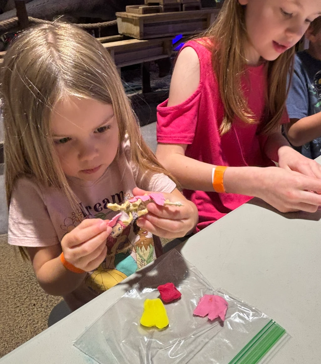A girl wrapping a dinosaur skeleton with clay
