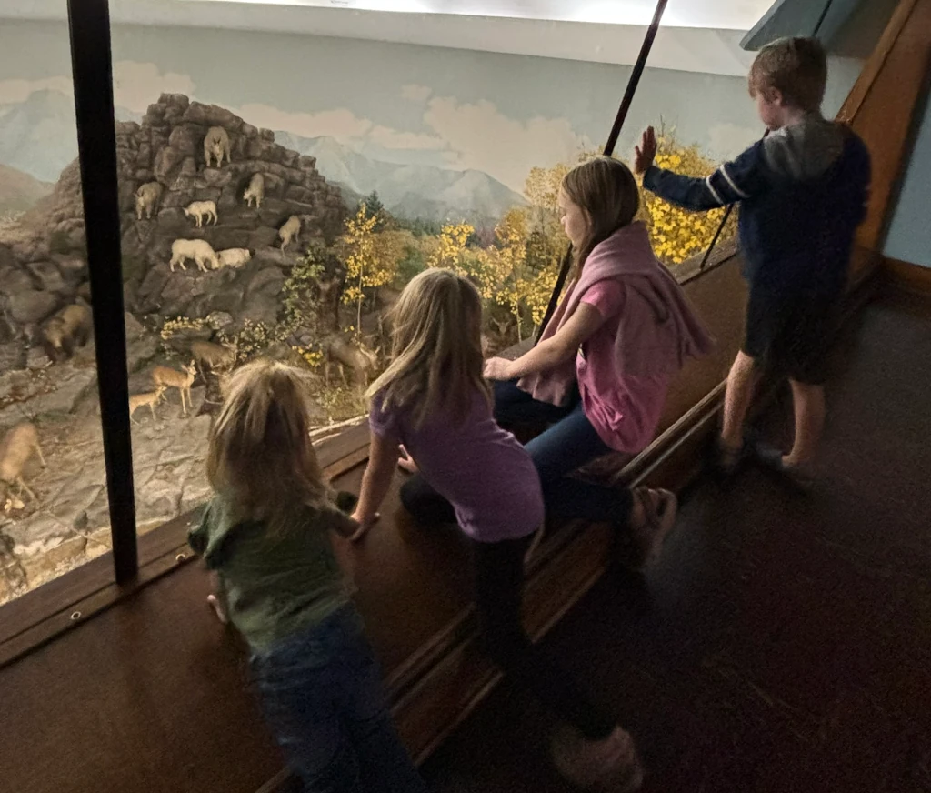 Kids viewing a scene of taxidermy animals