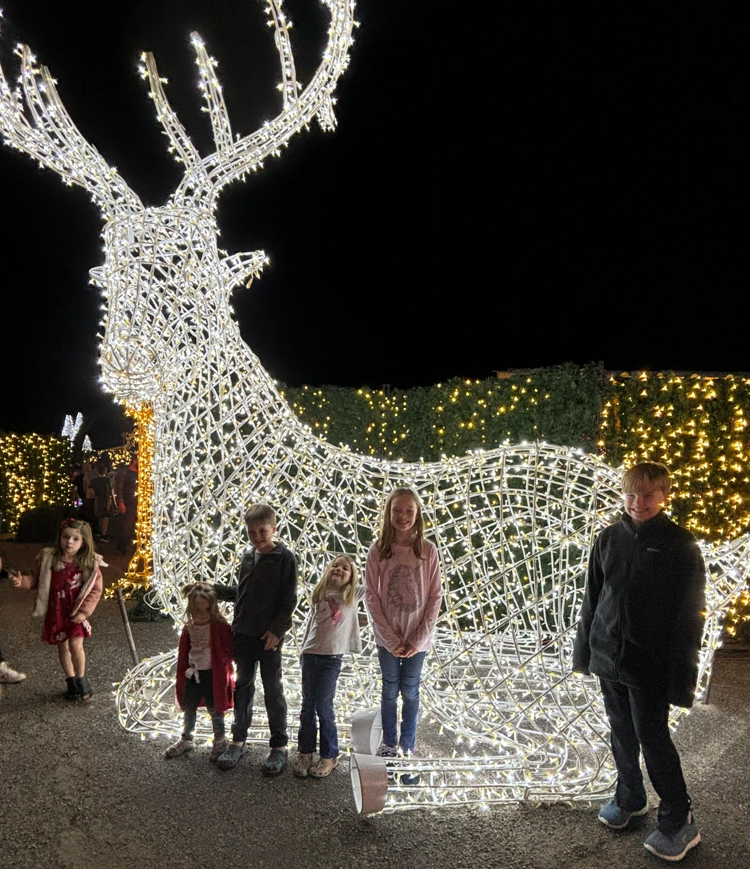 Kids posing in front of a large reindeer make out of Christmas Lights