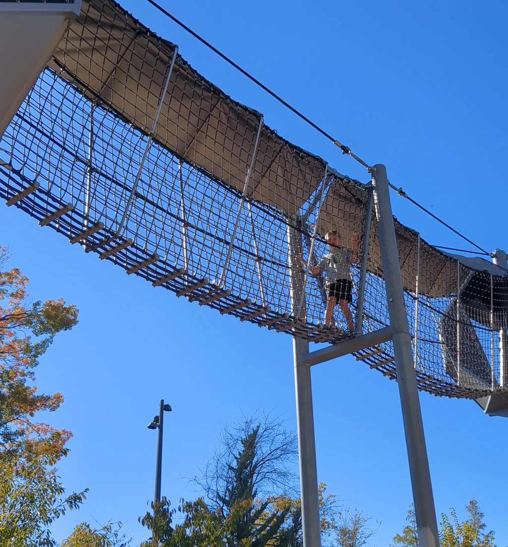 A kid climbing a rope bridge