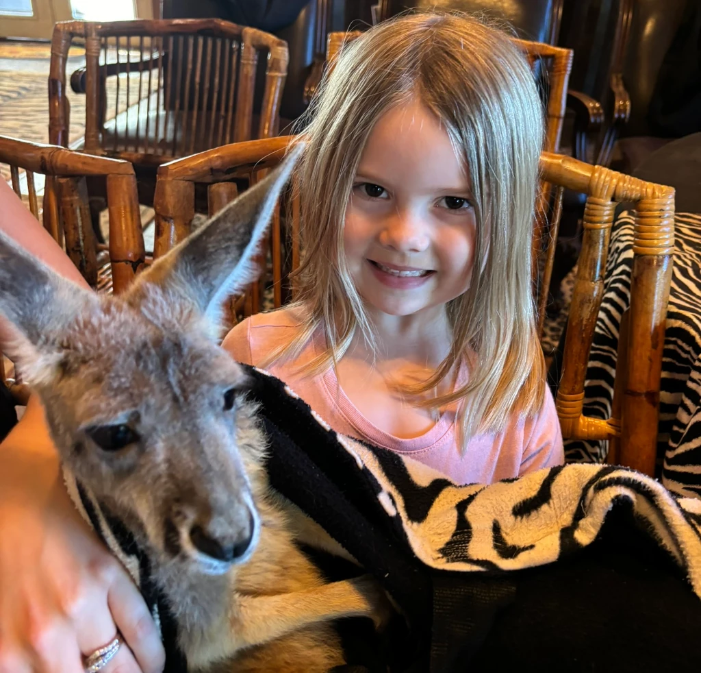 A little girl holding a baby kangaroo