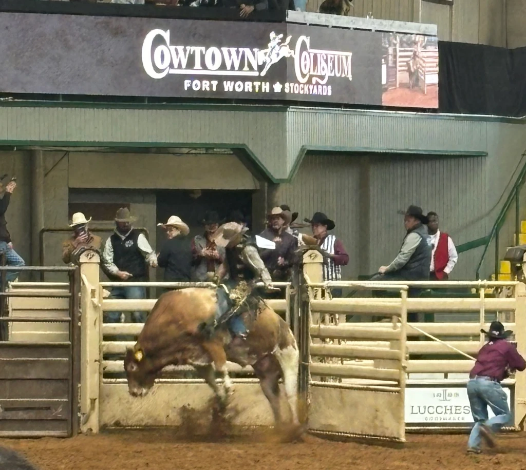 A cowboy riding a bull