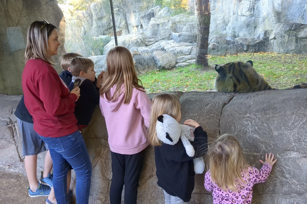 A family looking at a tiger behind glass