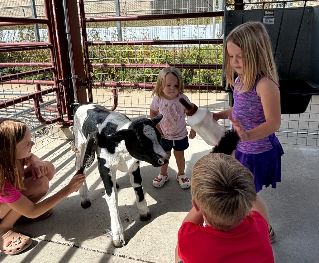 The kids feeding a fake cow at the St. Louis Science Center