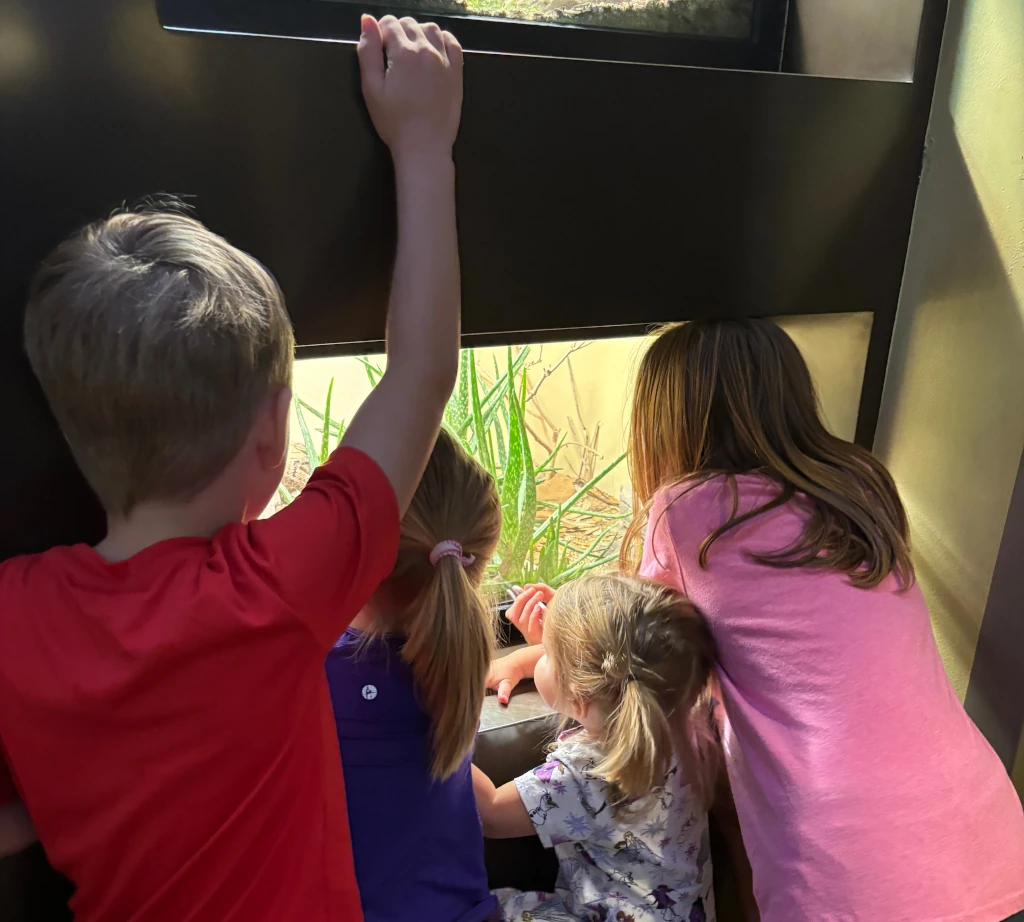 Kids looking at some animals at the zoo