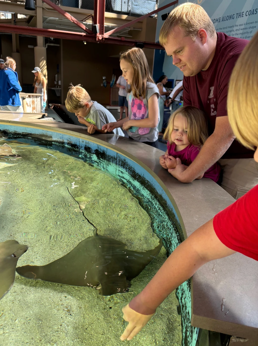 Kids waiting to touch a sting ray