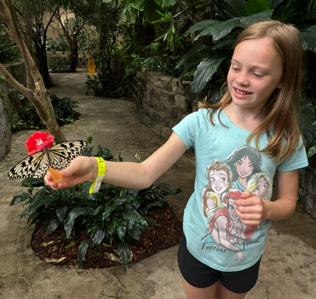 A girl holding a fake flower that a butterfly has landed on