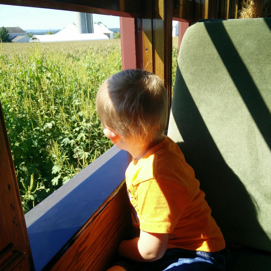 A kid looking out the window while riding in a train